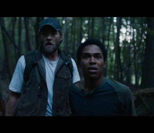 Is “It Comes at Night” (2017) based on a true story? It Comes At Night _