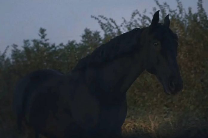 the-nest- dead-horse-