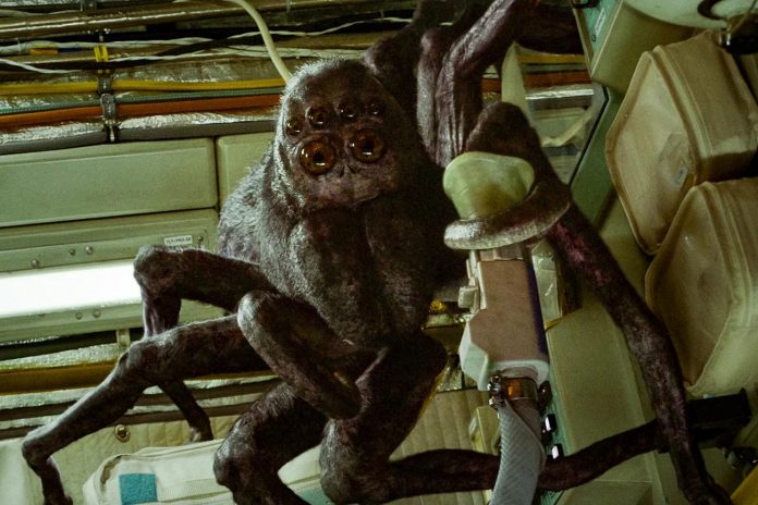Spaceman-spider Netflix