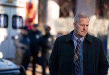 Is Jeff Daniels’ Chief Del Harris Based on a Real Police Officer in “American Rust”? detective-del-harris-american-rust