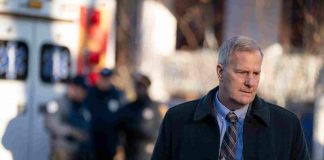 Is Jeff Daniels’ Chief Del Harris Based on a Real Police Officer in “American Rust”? detective-del-harris-american-rust