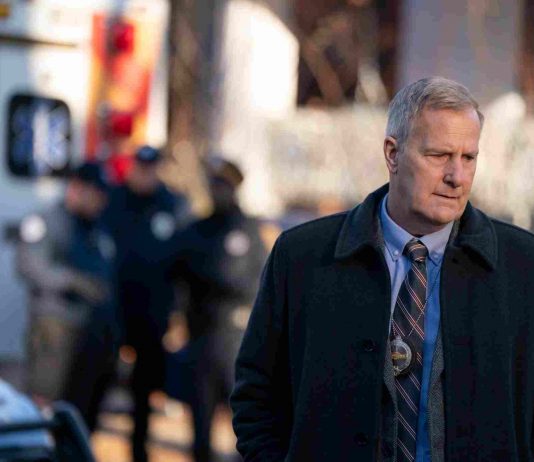 Is Jeff Daniels’ Chief Del Harris Based on a Real Police Officer in “American Rust”? detective-del-harris-american-rust