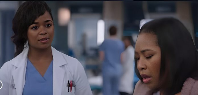 Grey's Anatomy 20x07