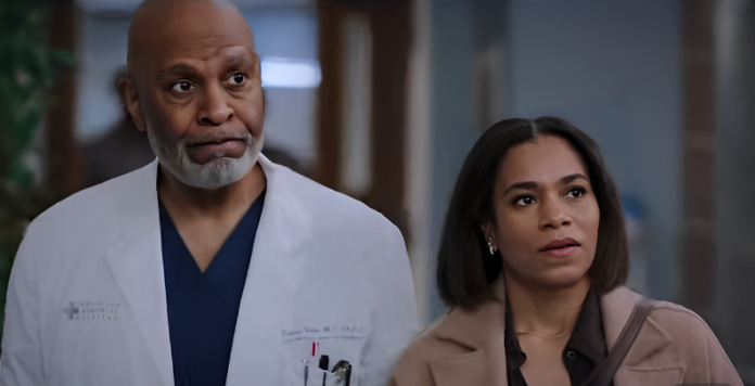 Grey's Anatomy 20x09 Promo