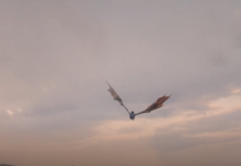 House of the Dragon Season 2 Finale: Who was the Blue Dragon? house-of-the-dragon-Finale-Season-2-hepisode-8-blue-dragon