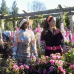 Grosse Pointe Garden Society Episode 6 Recap & Review: Plant Parenthood Brings Growth and Secrets