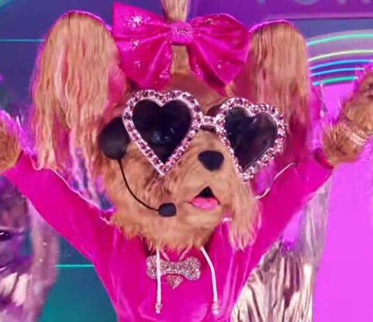The Masked Singer Season 13: Is Yorkie Erika Jayne?