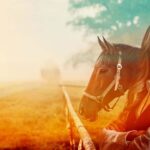 WHERE WAS ‘MURDER AT THE DERBY’ FILMED?