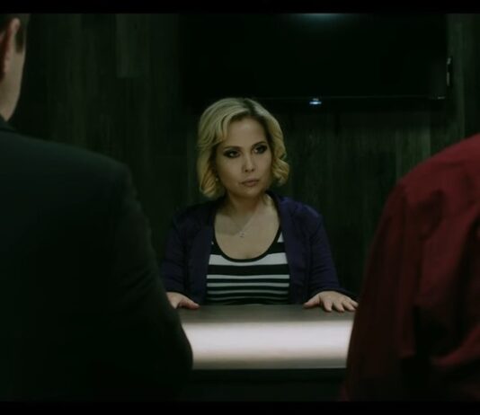 IS THE INTERROGATION OF ANNA GOODE BASED ON A TRUE STORY? The Interrogation Of Anna Goode