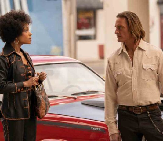 Max Series : Is Duster a True Story? Max Series Duster a True Story