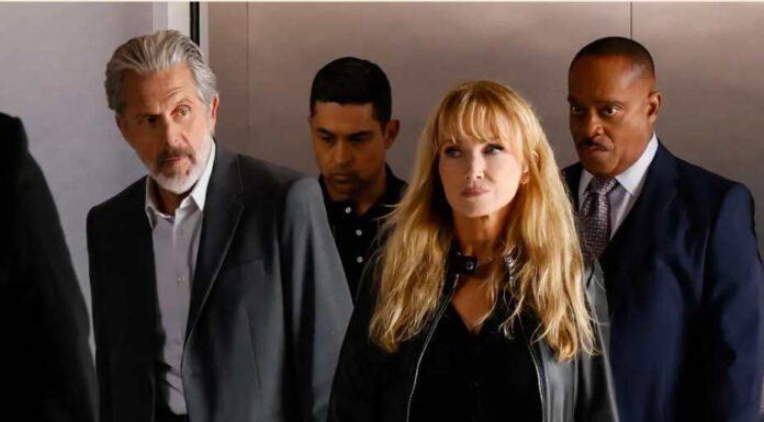 NCis season 22 episode 20 Gary Cole, Rebecca De Morna-