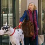 Naomi Watts Movie: Is The Friend (2024) Based on a True Story? The-Friend-2024-movie-co