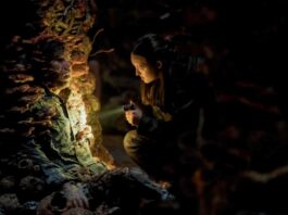The Last of Us 205 Bella Ramsey-