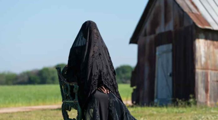 The Woman in the Yard